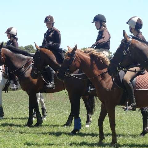 Photo: Capel Horse and Pony Club